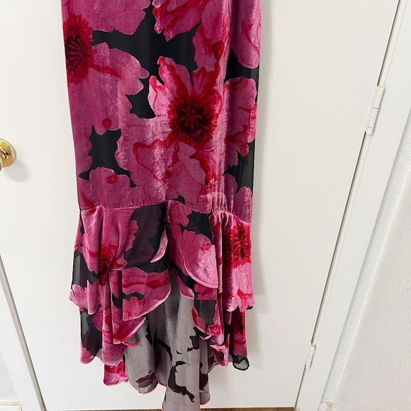 NWT Hutch Floral High Low Velvet Burnout Dress - Picture 5 of 8
